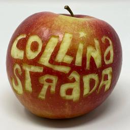 Collina Strada's Instagram profile picture