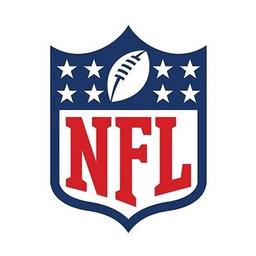 NFL's Instagram profile picture