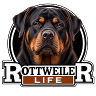 Rottweiler Life's YouTube profile picture