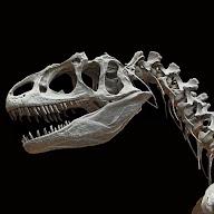 ExtinctZoo 's YouTube profile picture