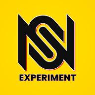 NS Experiment's YouTube profile picture