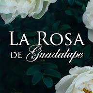 La Rosa de Guadalupe's YouTube profile picture