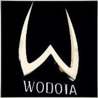 WoDotA's YouTube profile picture