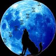 Wolfie6020's YouTube profile picture
