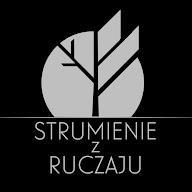 Strumienie z Ruczaju's YouTube profile picture