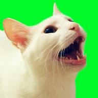 CatsCovers's YouTube profile picture