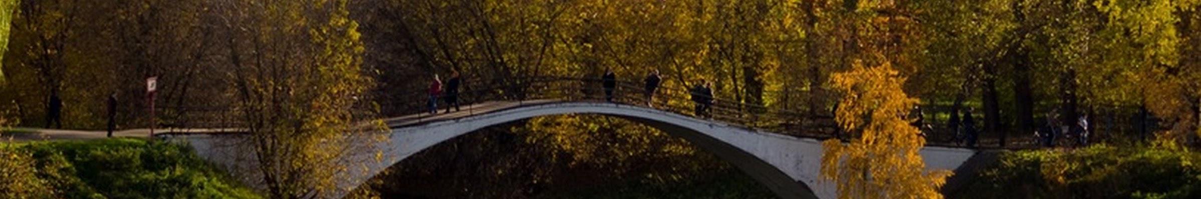 Creators Banner