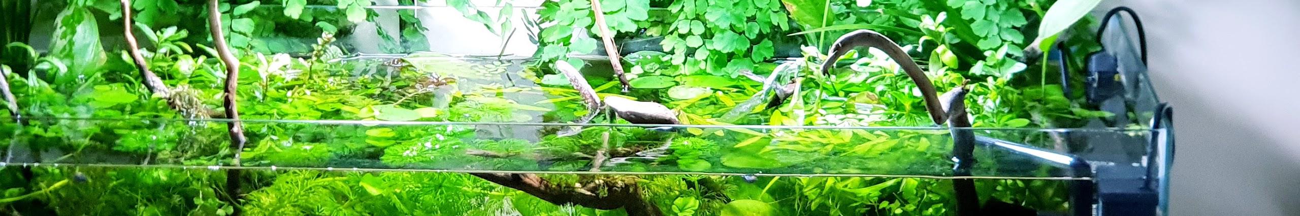 MD Fish Tanks's YouTube Statistics - Social Blade