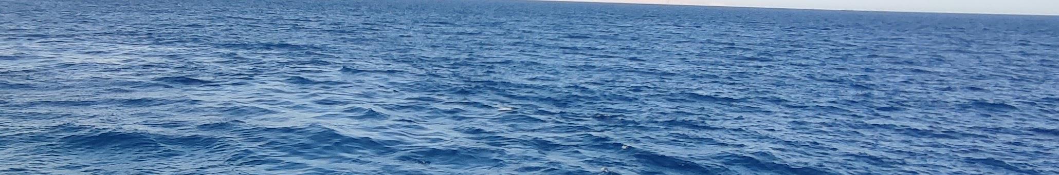 Creators Banner