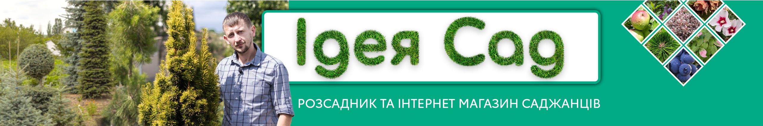Creators Banner