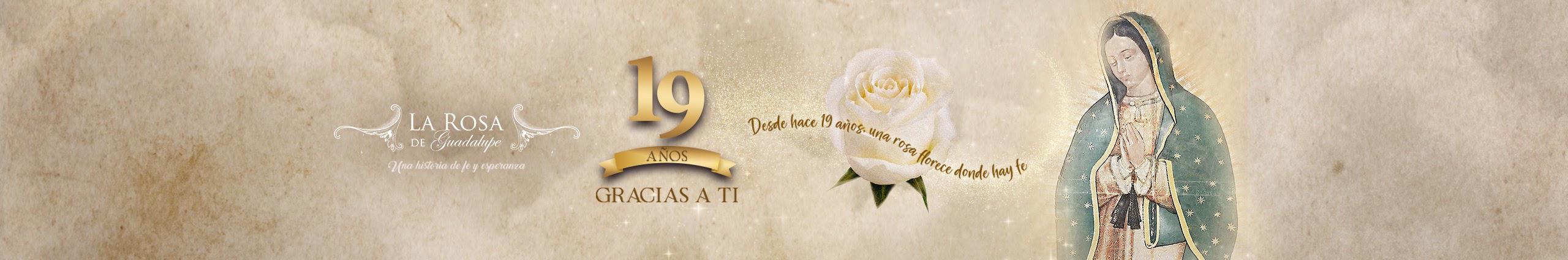 Creators Banner