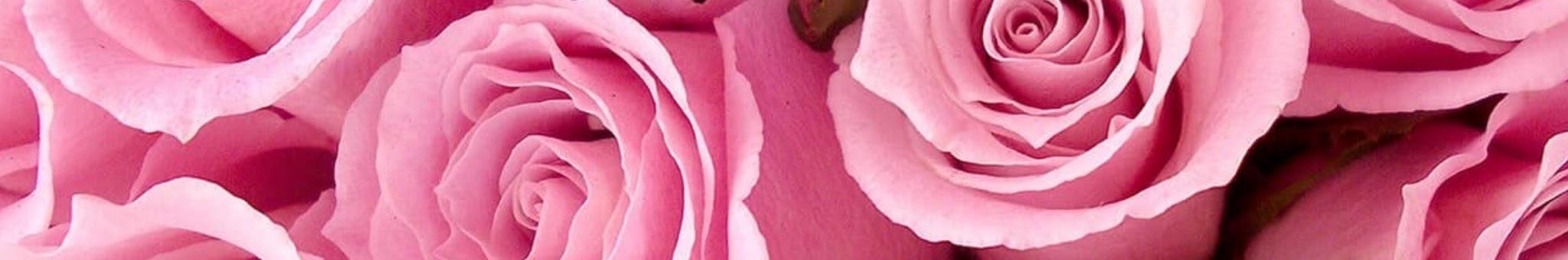 Creators Banner