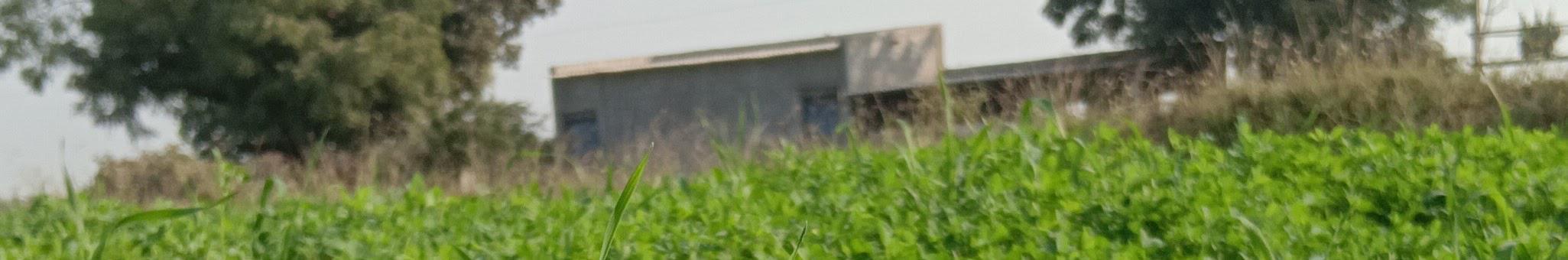 Creators Banner