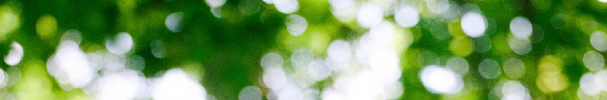Creators Banner