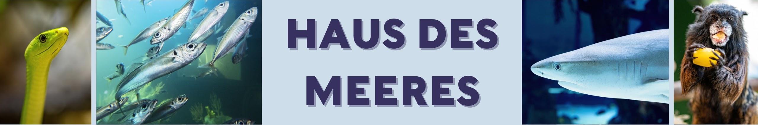 Creators Banner
