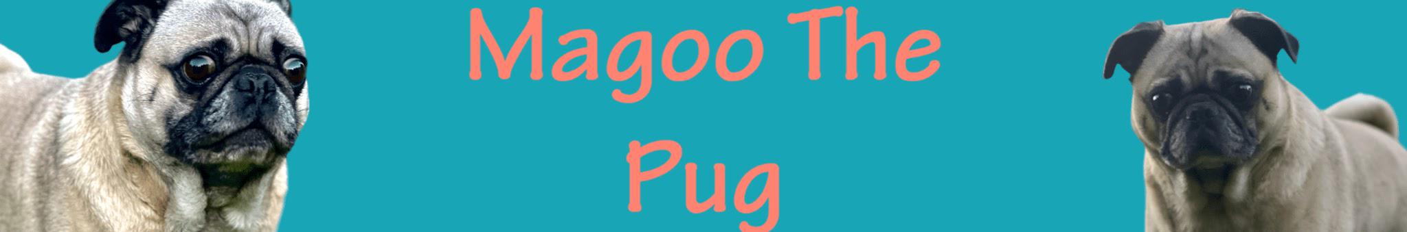 Creators Banner